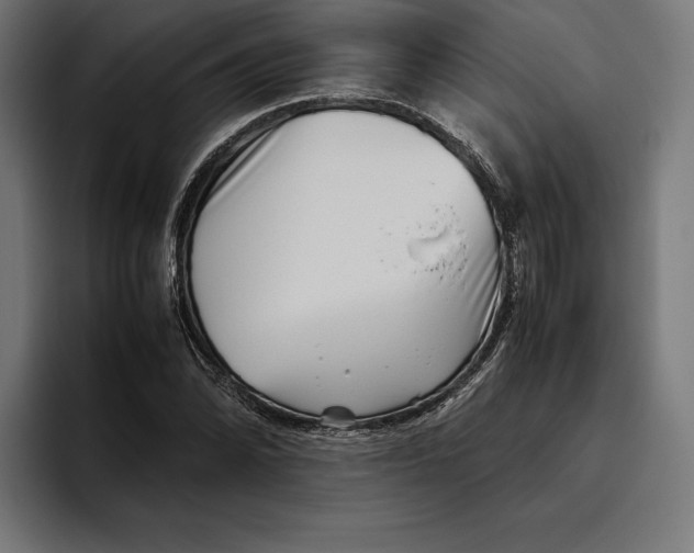 X0000094801070200712071201