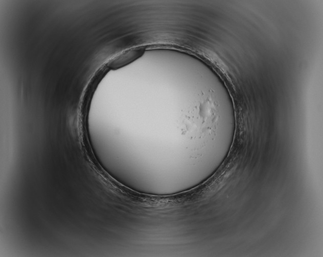 X0000094801072200712071201