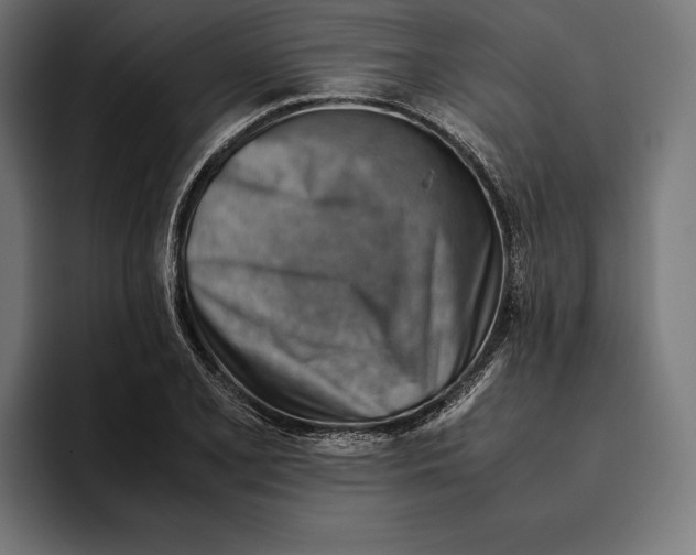 X0000094801077200712071201