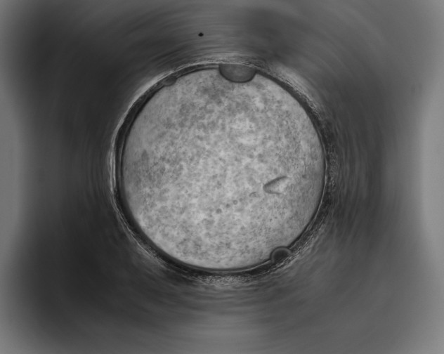 X0000094801079200712071200