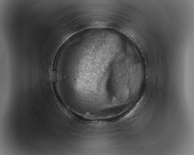 X0000094801081200712071200