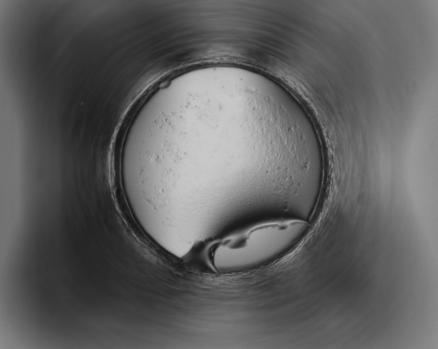 X0000094801082200712071200