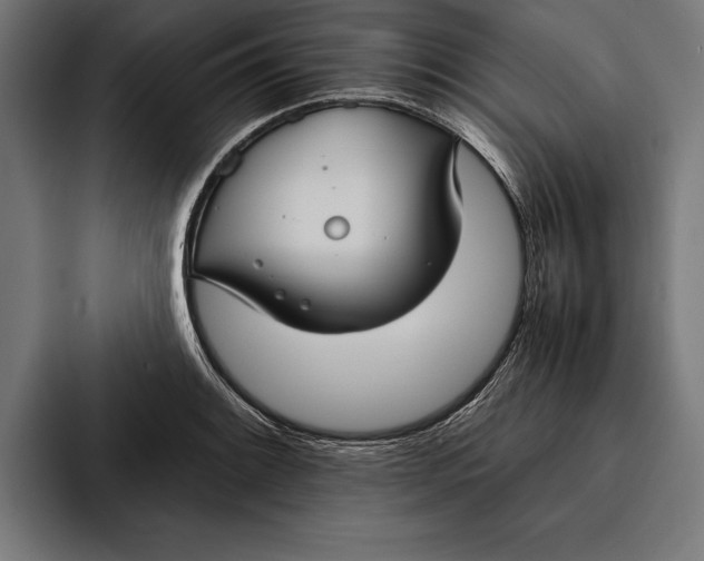 X0000094801084200712071200