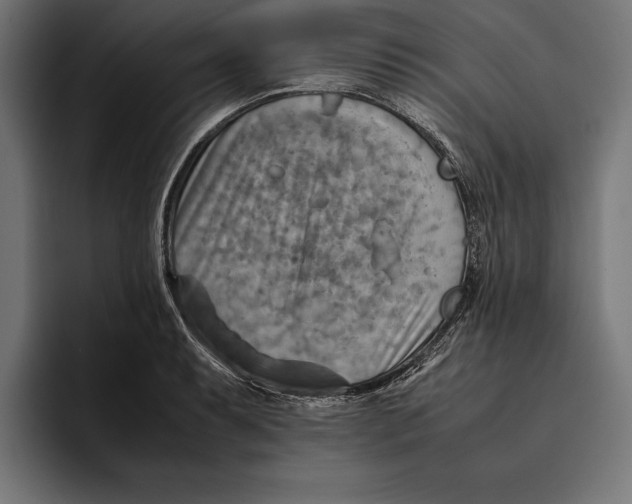 X0000094801087200712071200