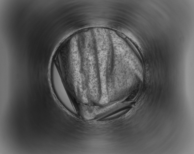 X0000094801088200712071200