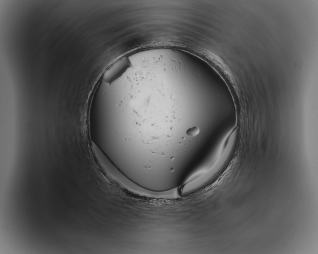 X0000094801089200712071200