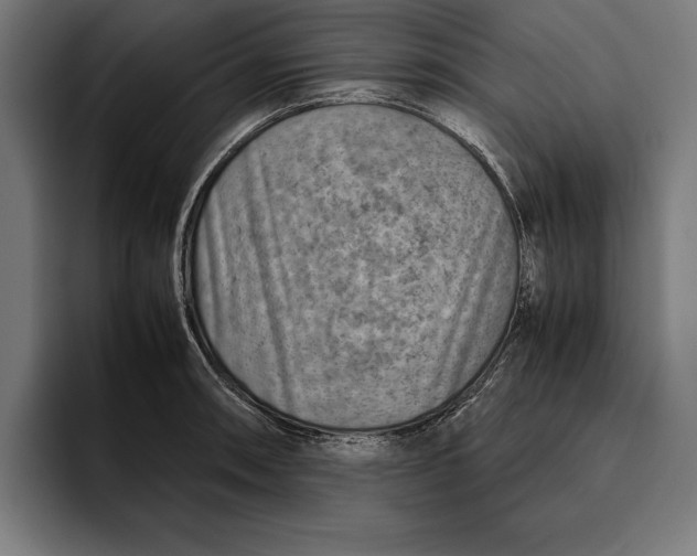 X0000094801090200712071200