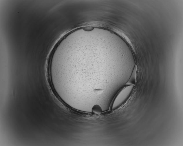 X0000094801091200712071200