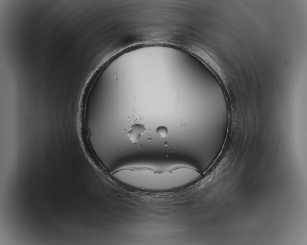 X0000094801093200712071200