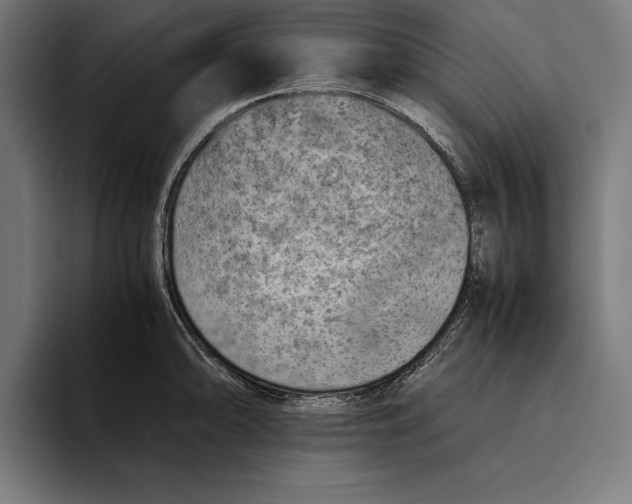 X0000094801094200712071200