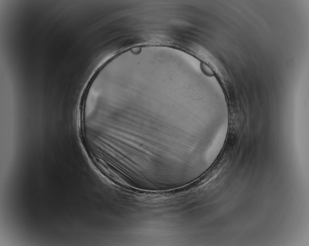 X0000094801095200712071200