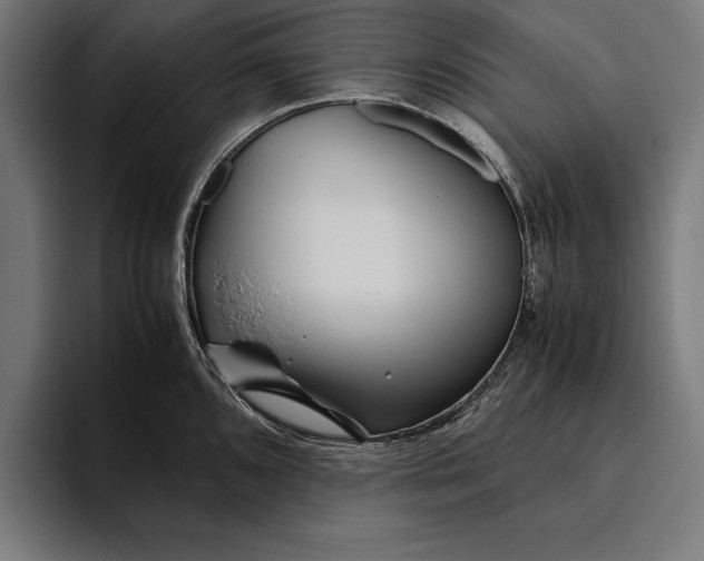 X0000094801096200712071200