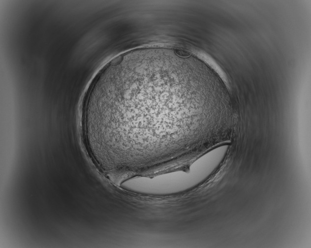 X0000094801099200712071200