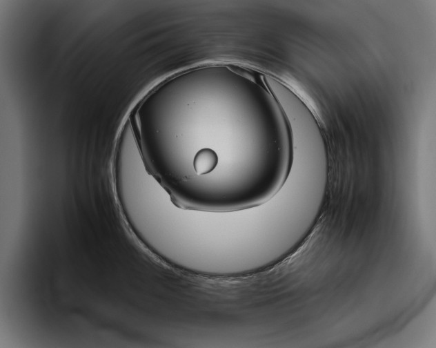 X0000094801100200712071200