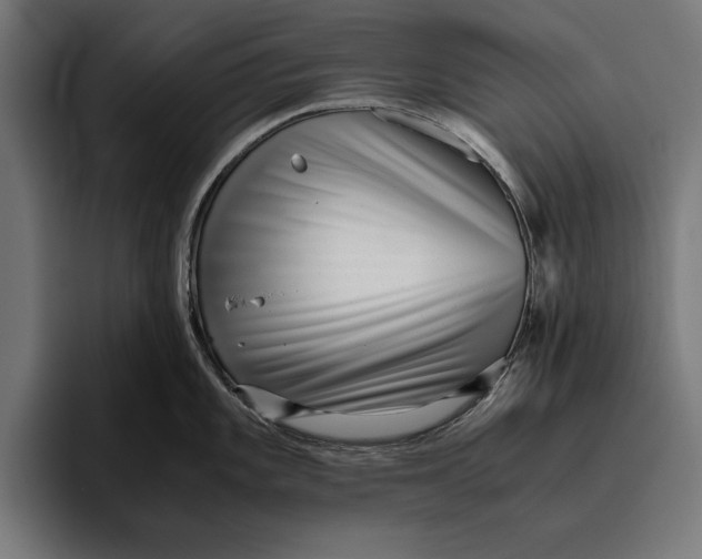 X0000094801101200712071200