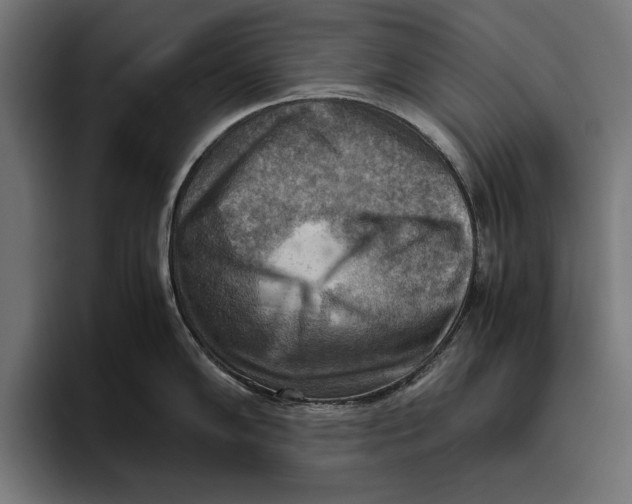 X0000094801102200712071200