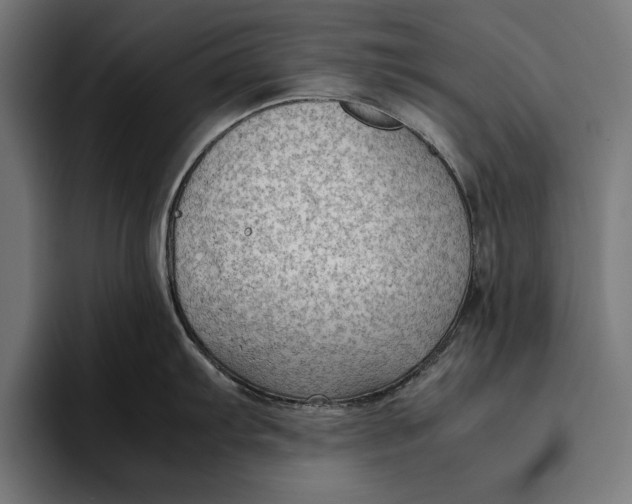 X0000094801103200712071200