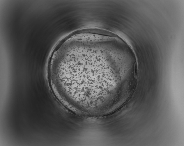 X0000094801104200712071200