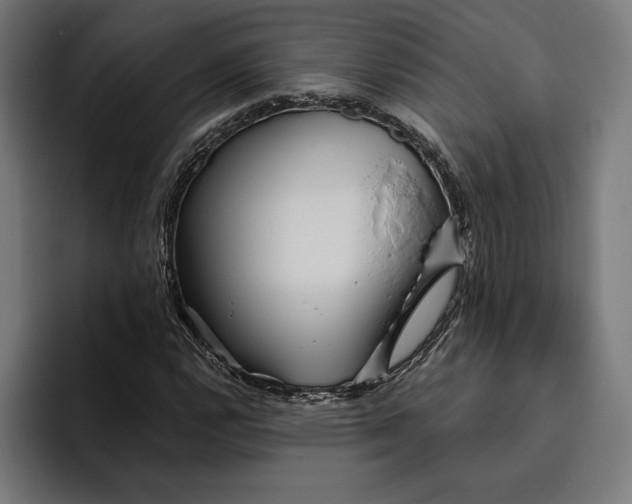 X0000094801112200712071200