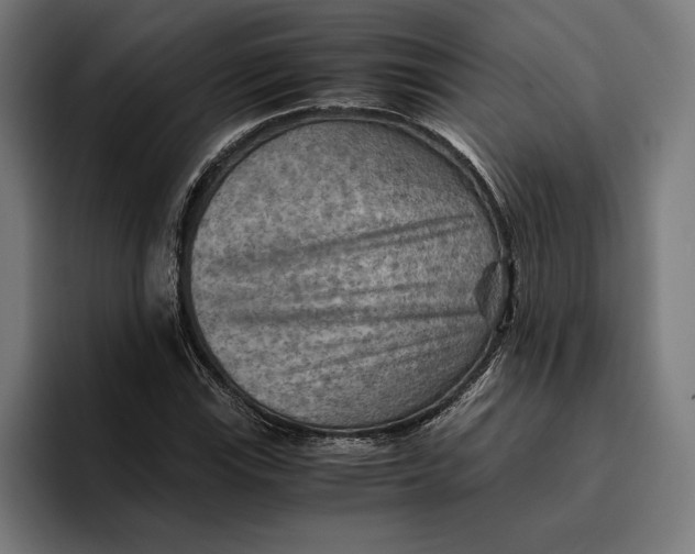 X0000094801115200712071200