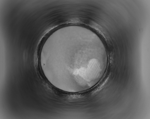 X0000094801117200712071200