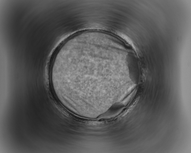 X0000094801120200712071200