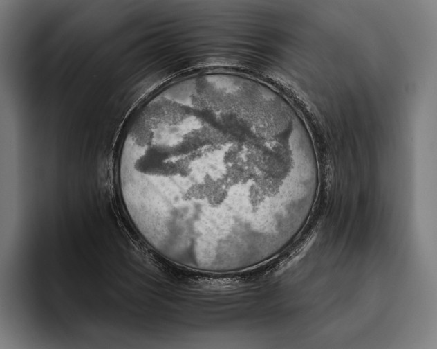 X0000094801121200712071200