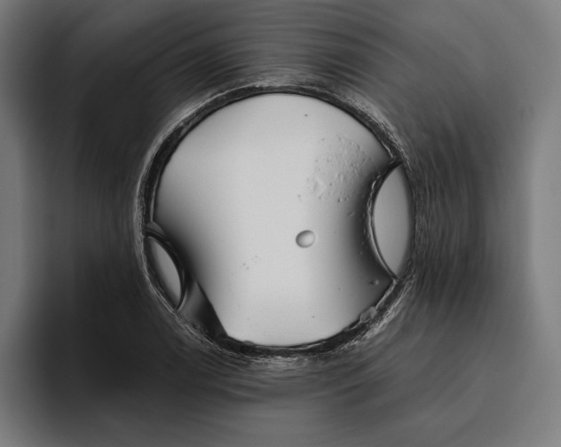 X0000094801122200712071200