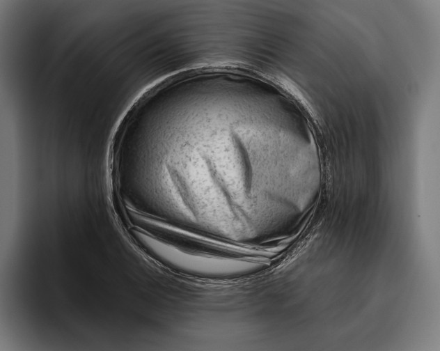 X0000094801124200712071200