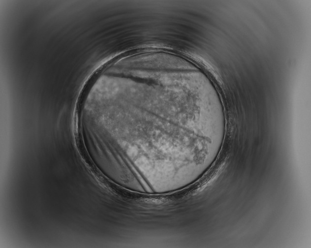 X0000094801125200712071200