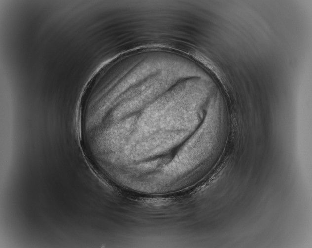 X0000094801127200712071200