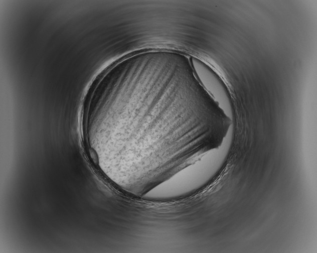 X0000094801128200712071200