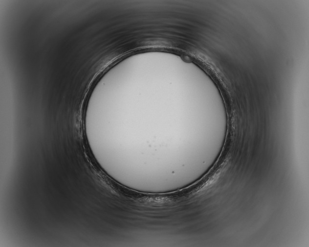 X0000094801129200712071200