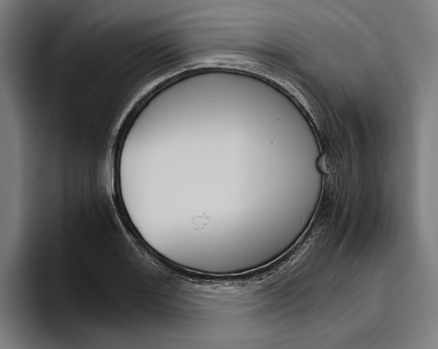 X0000094801131200712071200