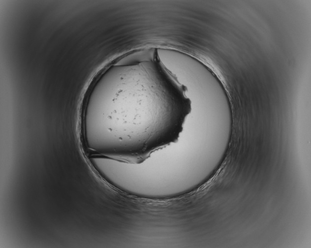 X0000094801136200712071200