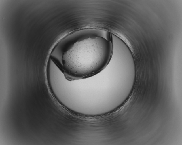 X0000094801138200712071200