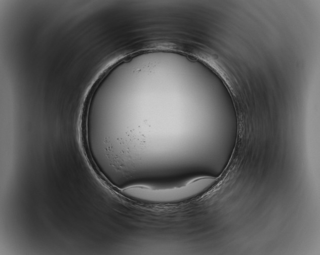 X0000094801139200712071200