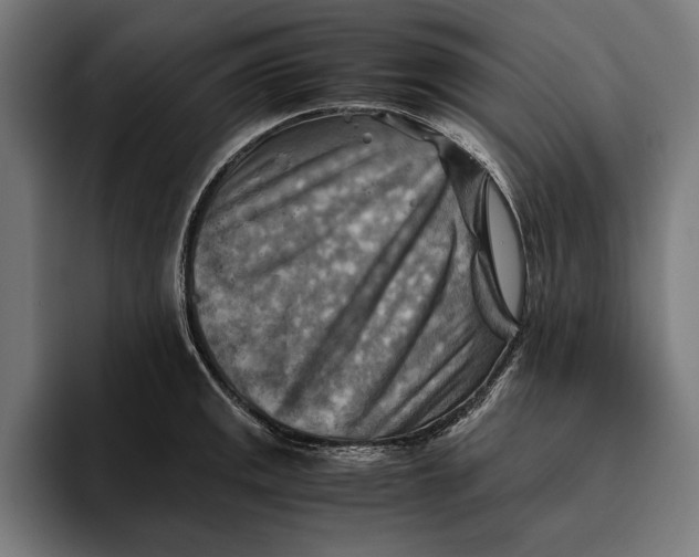 X0000094801141200712071200