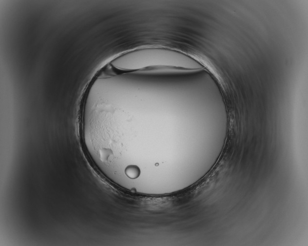 X0000094801143200712071200