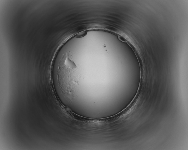 X0000094801145200712071200