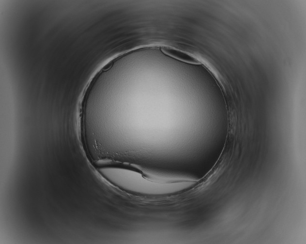 X0000094801151200712071200