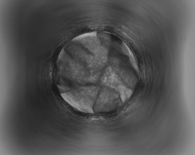 X0000094801154200712071159