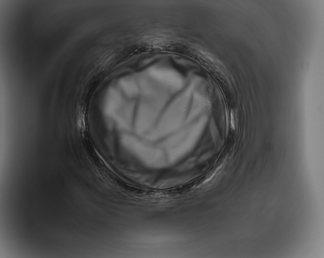 X0000094801155200712071159