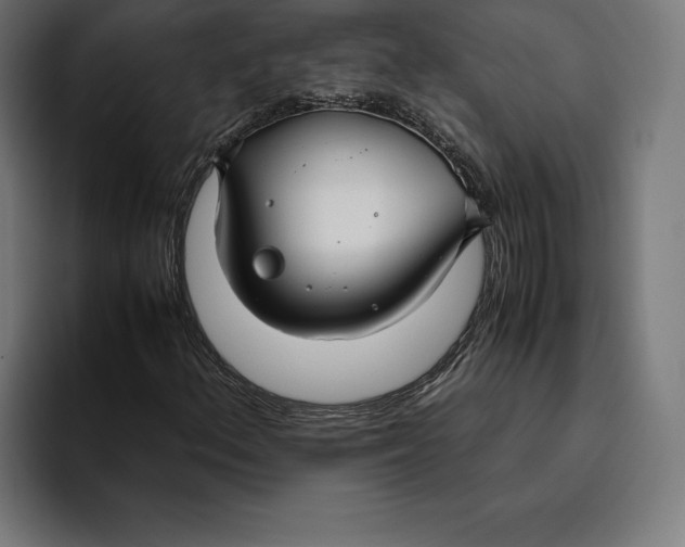 X0000094801156200712071159