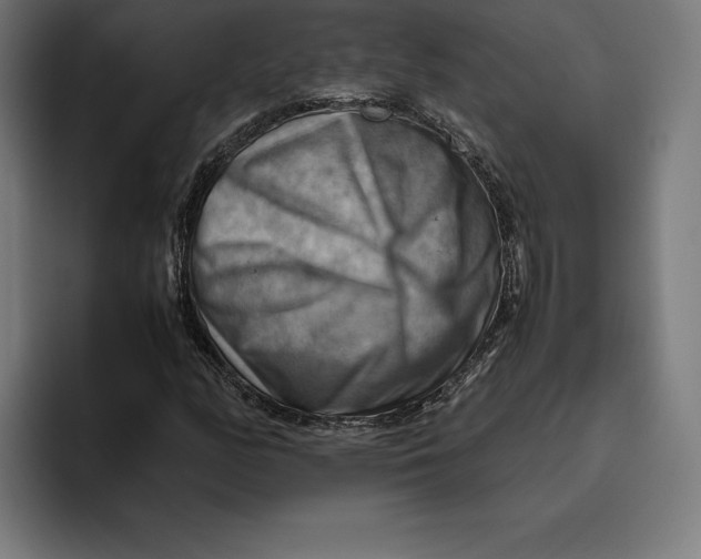 X0000094801158200712071159