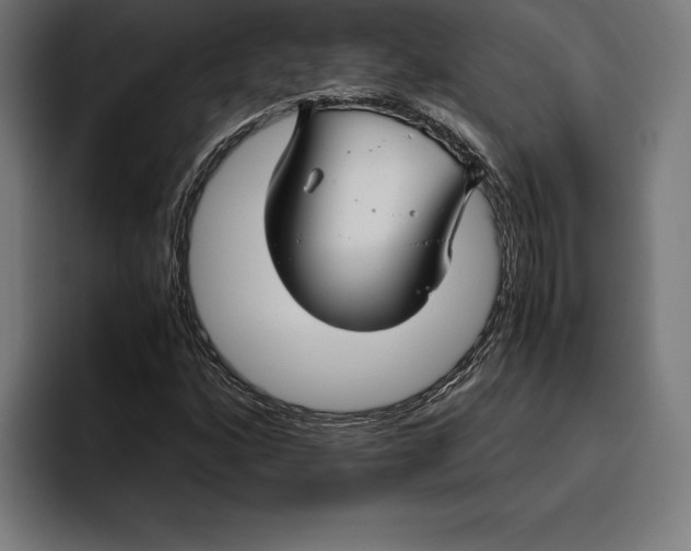 X0000094801160200712071159