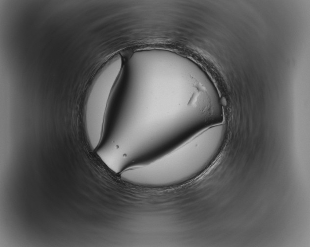 X0000094801161200712071159