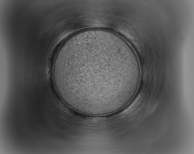 X0000094801163200712071159