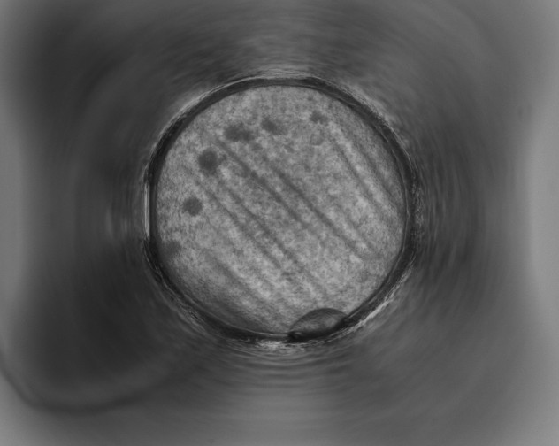 X0000094801171200712071159