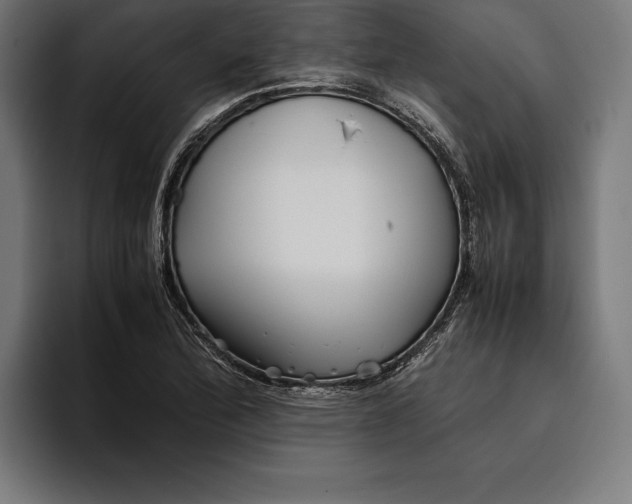 X0000094801172200712071159